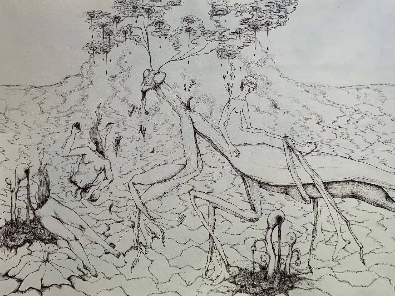 A3 Drawing 4