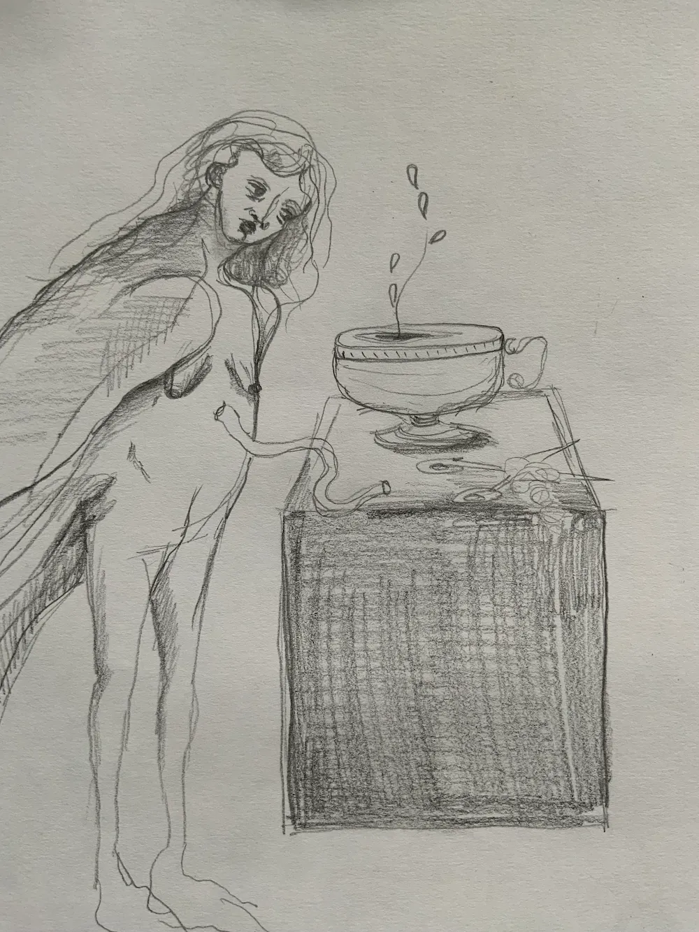 Sketch 31