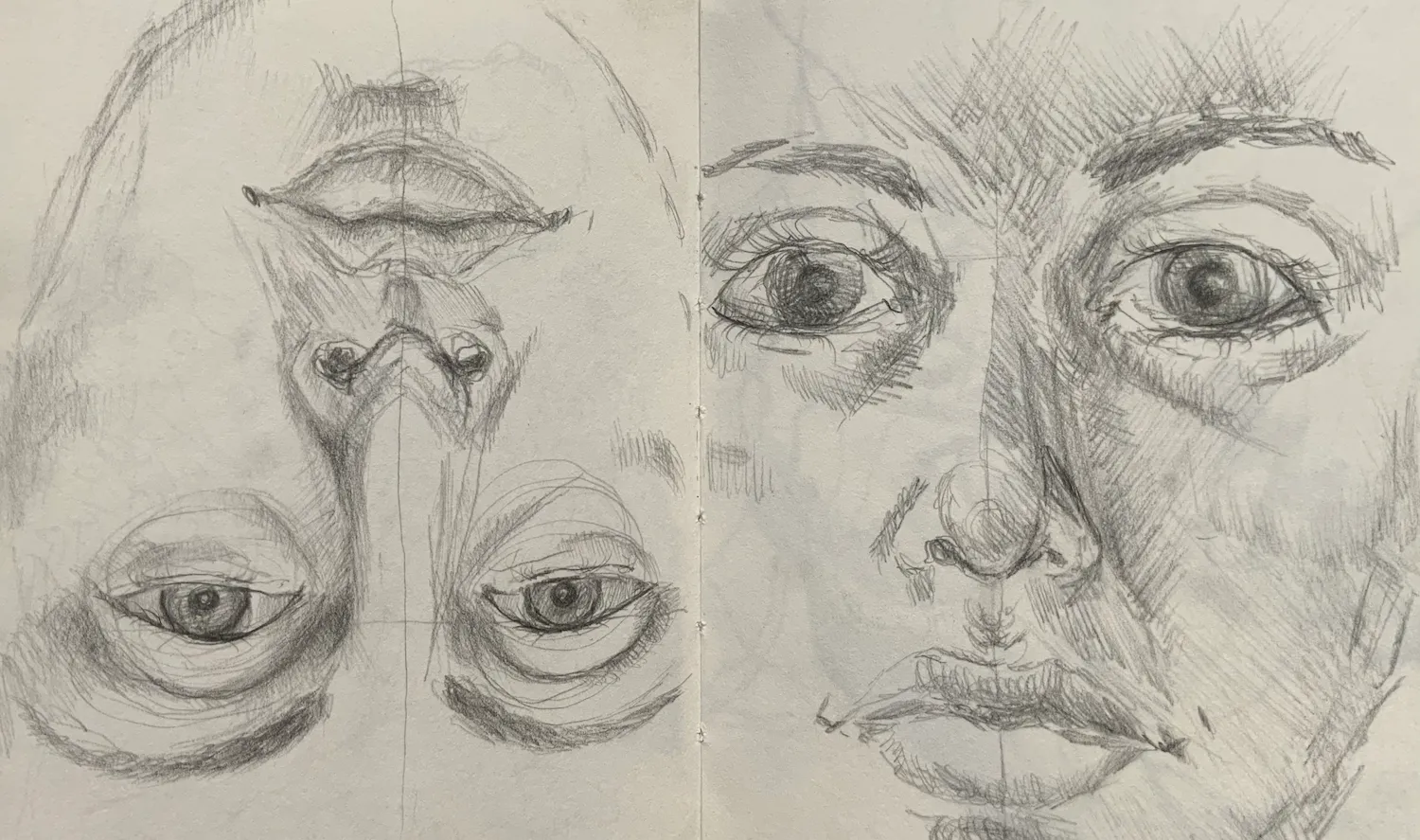 Sketch 36