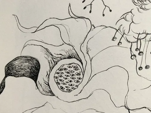 Sketch 48