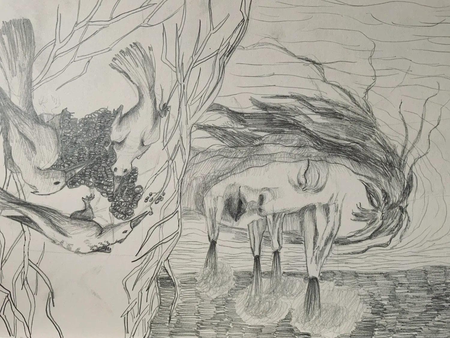Sketch 7