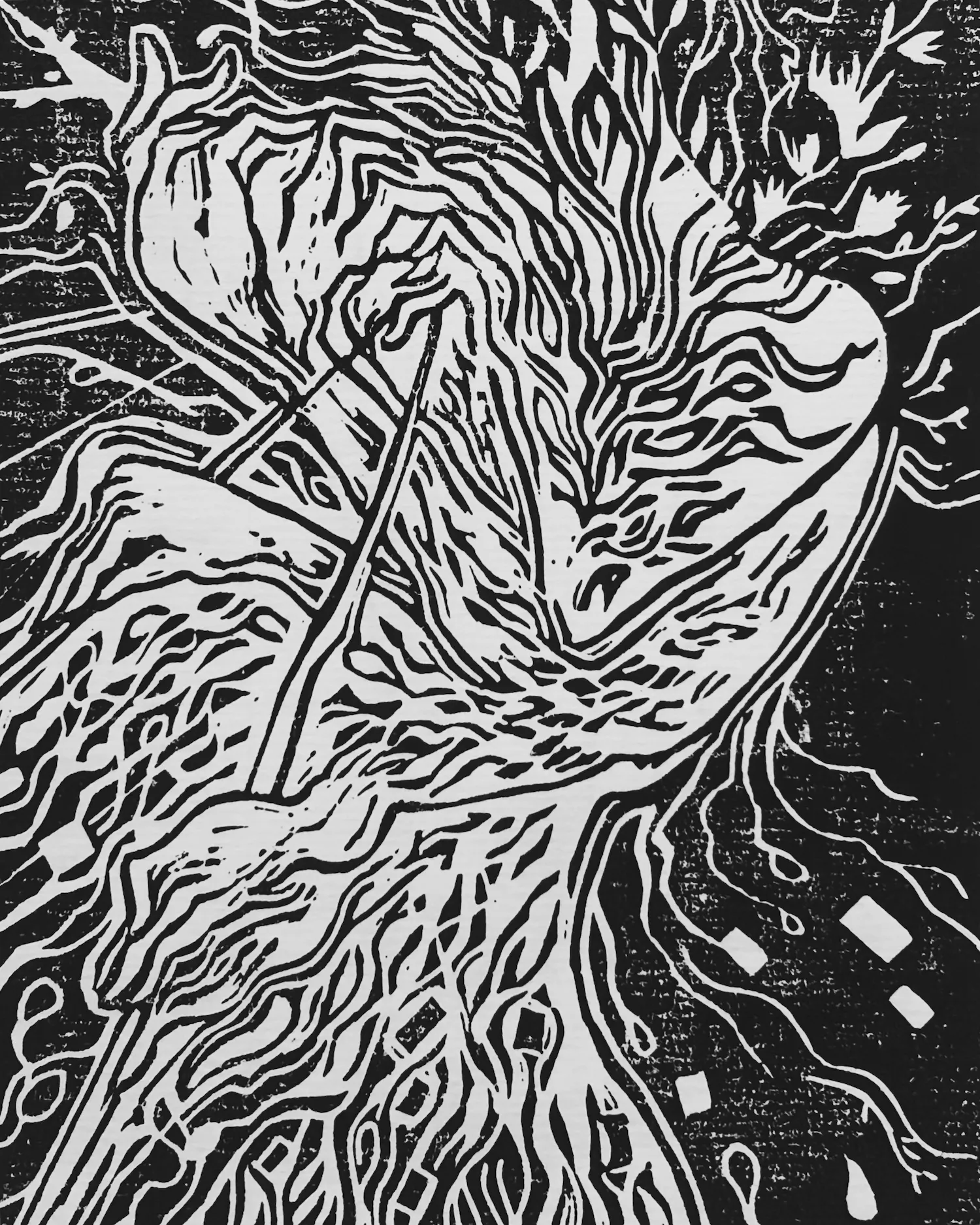 Print 5